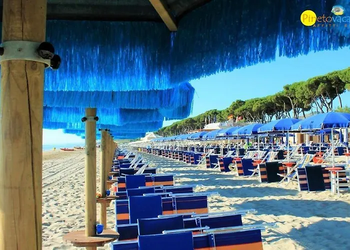 Lady - アパート ピネート